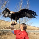 Me, holding a magnificent hunting eagle