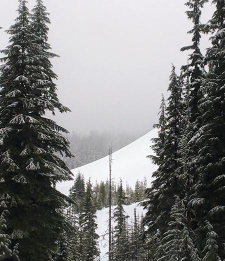 Thirty-six degree slope, well within the avalanche danger zone