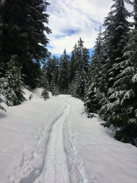 Snow, snow, and lots of snow! White Road trail.