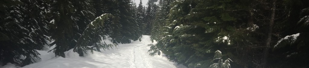 White Road trail