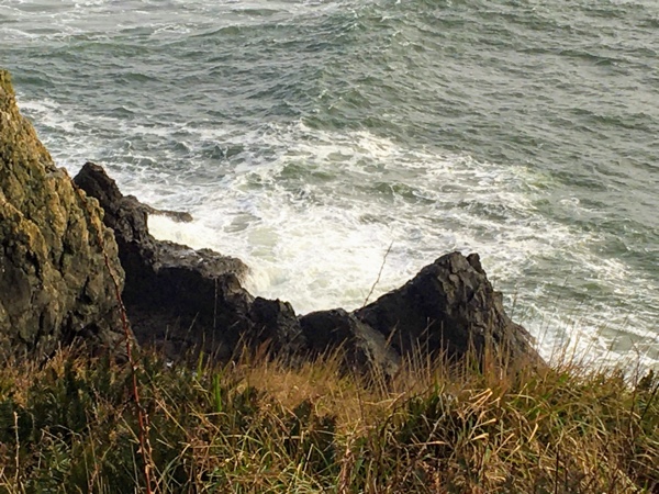 Scenes from Cape Disappointment State Park