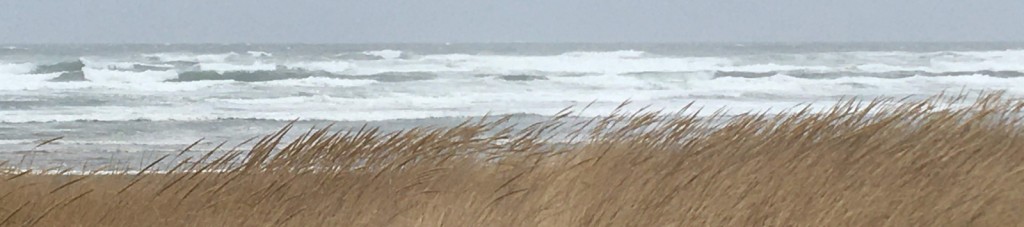 Surf pounding the beach at Surfside