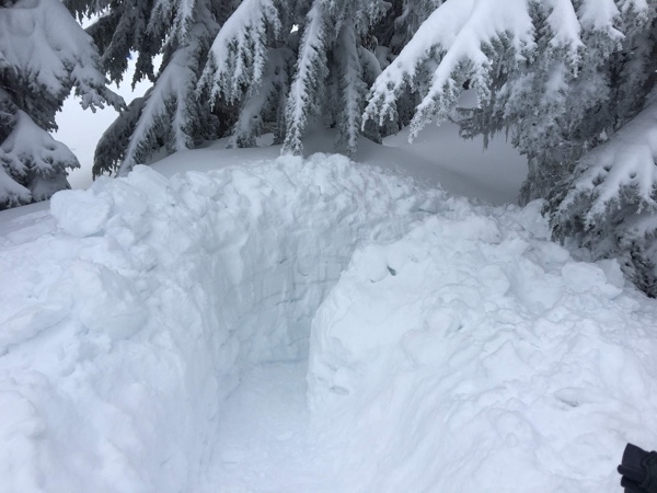 Women's latrine dug into the snow